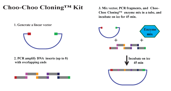 Choo-Choo Cloning Kit