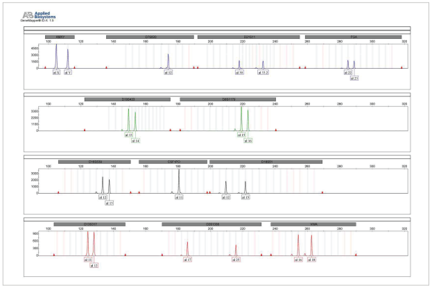A profile of the Control DNA provided with GT Detector Paleo