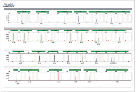 A profile of the Control DNA provided with GT YDetector 29