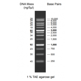 https://www.carolinabiosystems.cz/1000-thickbox_default/discover-dna-ladder-250-10000-bp.jpg