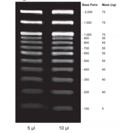 https://www.carolinabiosystems.cz/1003-thickbox_default/100-bp-dna-ladder.jpg