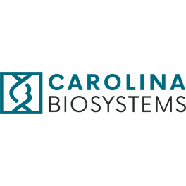 https://www.carolinabiosystems.cz/1111-thickbox_default/qscript-reverse-transcriptase.jpg