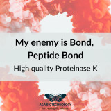 Proteinase K (lyophilisate)