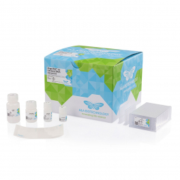 https://www.carolinabiosystems.cz/1277-thickbox_default/magnifiq-16-genomic-dna-instant-kit.jpg