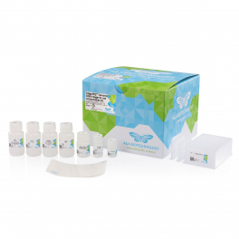 https://www.carolinabiosystems.cz/1281-thickbox_default/magnifiq-genomic-dna-reagents-and-consumables-kit.jpg