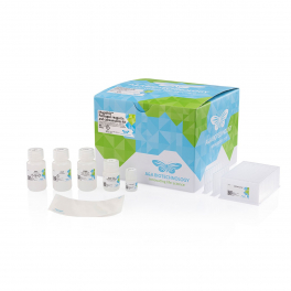 https://www.carolinabiosystems.cz/1296-thickbox_default/magnifiq-pathogen-reagents-and-consumables-kit.jpg