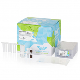 https://www.carolinabiosystems.cz/1298-thickbox_default/magnifiq-16-citi-converter-dna-methylation-instant-kit.jpg