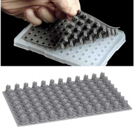 https://www.carolinabiosystems.cz/1349-thickbox_default/96-well-pcr-plate-with-8-strip-caps.jpg