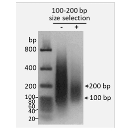 https://www.carolinabiosystems.cz/1399-thickbox_default/dna-size-selection-kit-100-200-bp-magnetic-beads.jpg