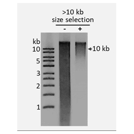https://www.carolinabiosystems.cz/1415-thickbox_default/librarydna-size-selection-kit-over-10-kb-magnetic-beads.jpg