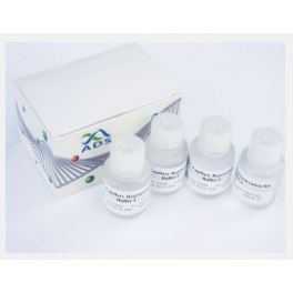 https://www.carolinabiosystems.cz/1451-thickbox_default/ads-capillary-regeneration-kit-for-3130.jpg