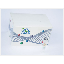 https://www.carolinabiosystems.cz/1479-thickbox_default/-ads-pcr-cleaning-beads.jpg