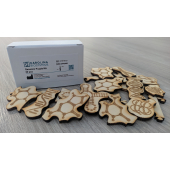 Mikrobiologické puzzle