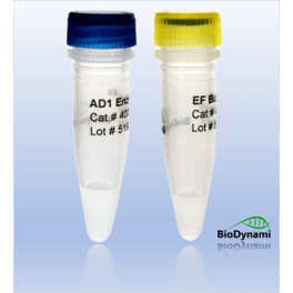 https://www.carolinabiosystems.cz/1521-thickbox_default/dna-fragmentation-a-tailing-enzyme-mix.jpg