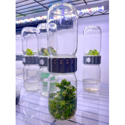 Biocoupler™ Glass Set