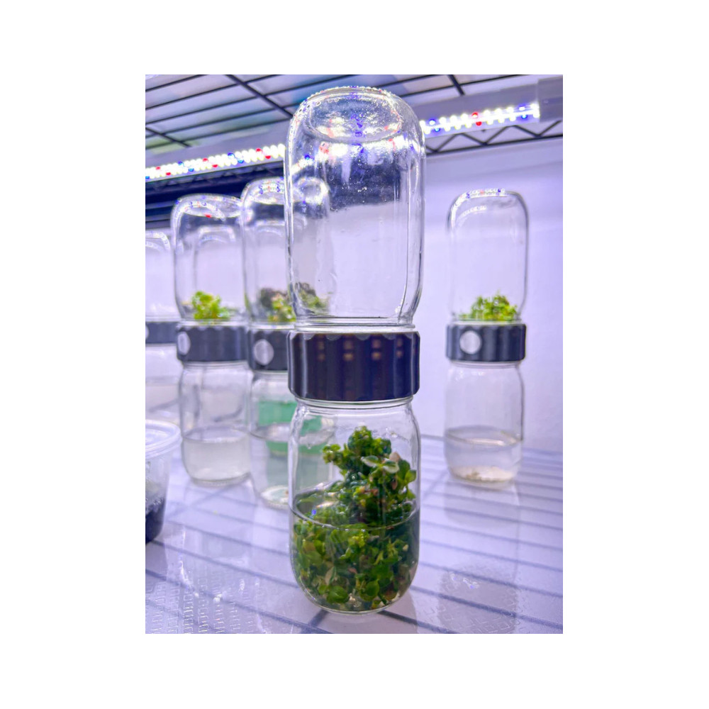 Biocoupler™ Glass Set