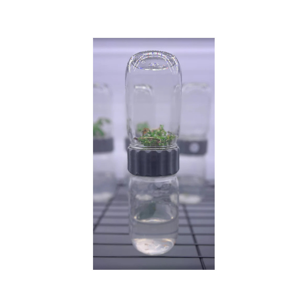 Biocoupler™ Glass Set