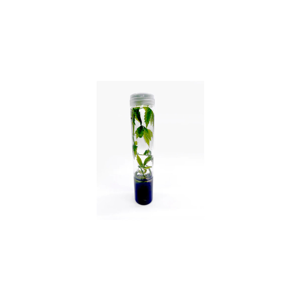 Vented Plant TC Test Tubes