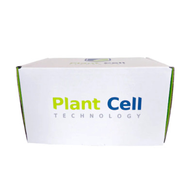 Synthetic Seed Starter Kit