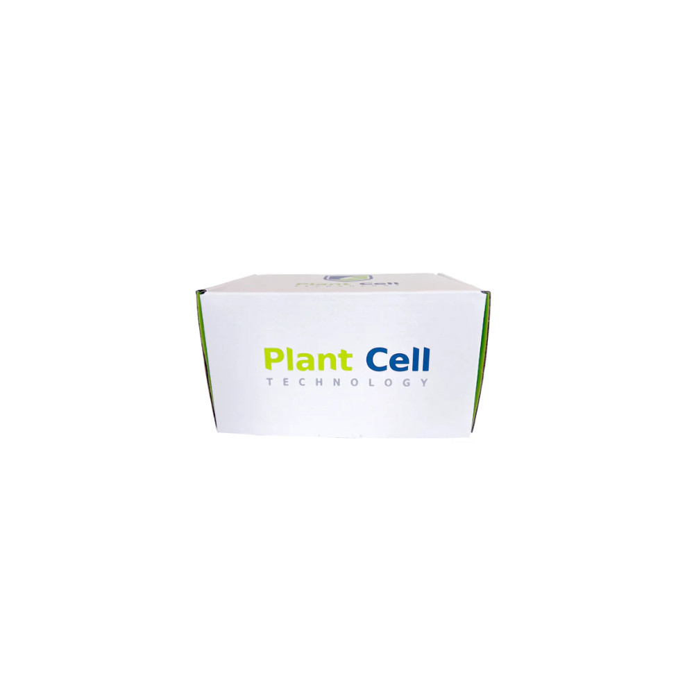 Synthetic Seed Starter Kit