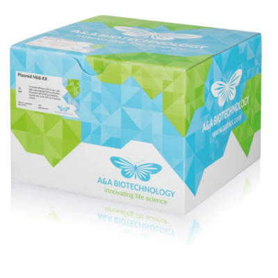 Plasmid Mini AX