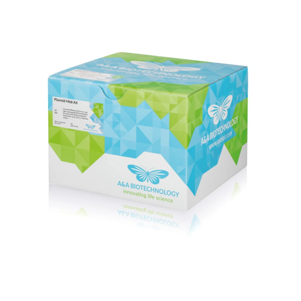 Plasmid Mini AX