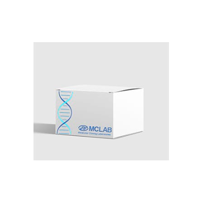 Gel Advanced Extraction MiniPrep Kit