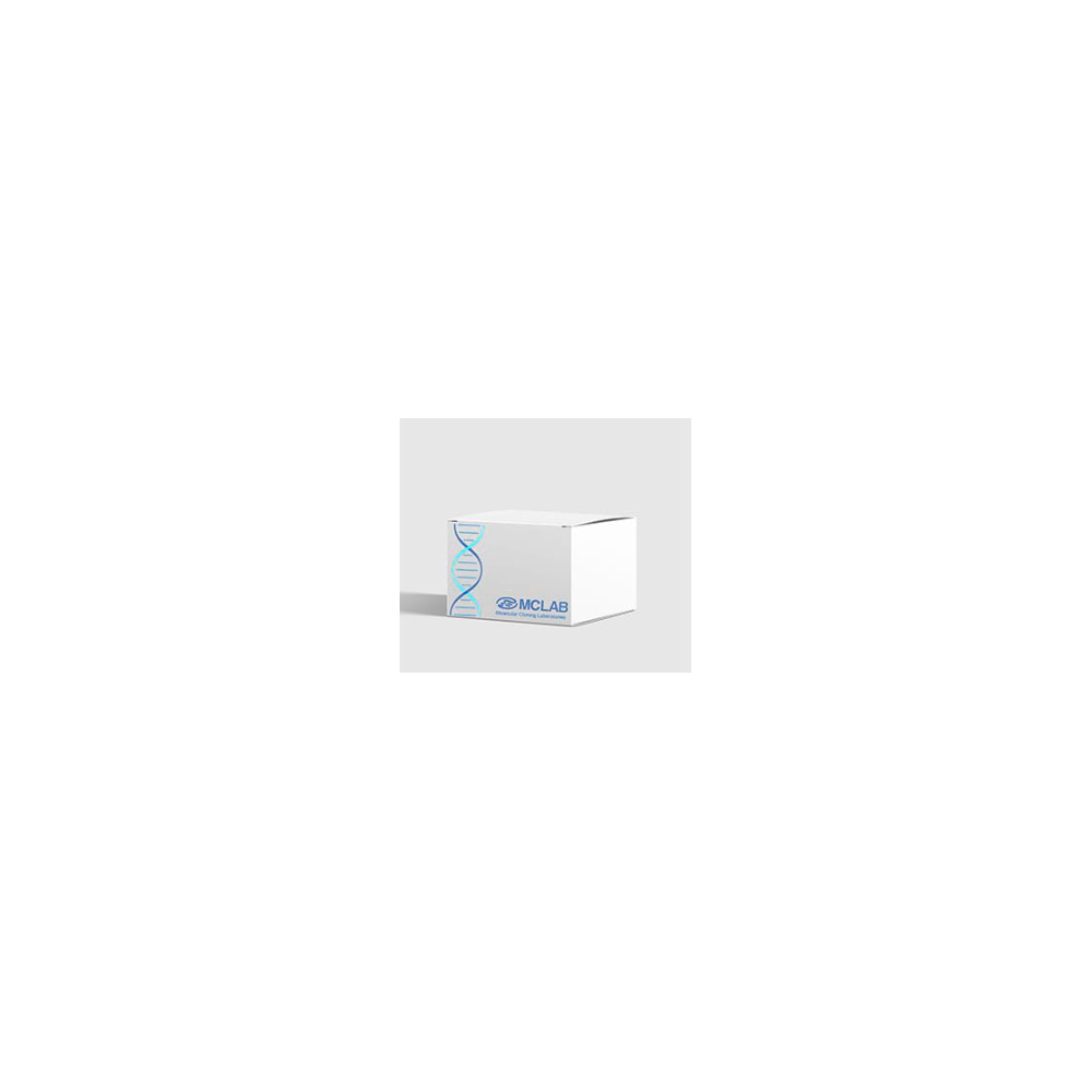 Gel Advanced Extraction MiniPrep Kit