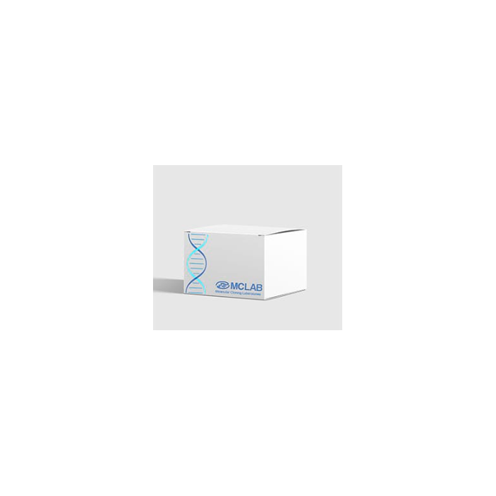 Gel Advanced Extraction MiniPrep Kit