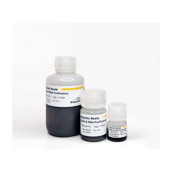 DNA & RNA Purification Beads