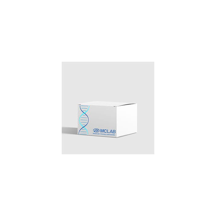2X BlueStar™ PCR Master Mix