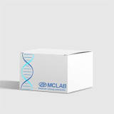 2X BlueStar™ PCR Master Mix