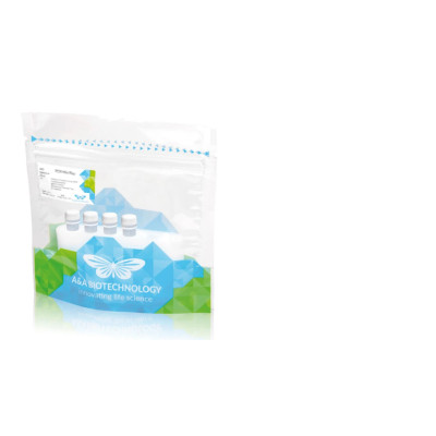 qPCR-HS Mix EvaGreen®