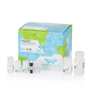 MagnifiQ™ CiTi Converter DNA Methylation Kit
