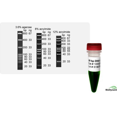 20 bp DNA Ladder