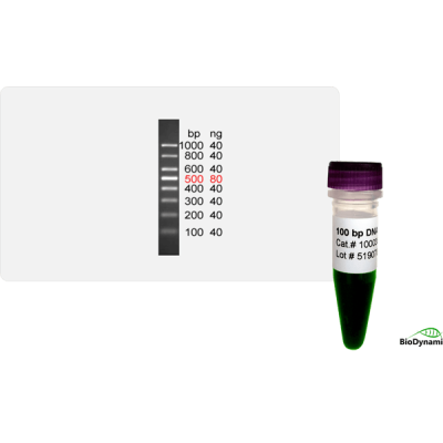 100 bp DNA Ladder