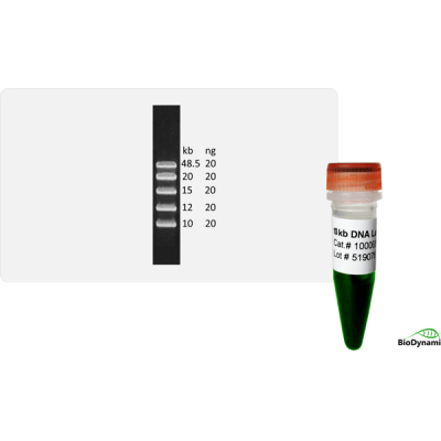 10 kb DNA Ladder