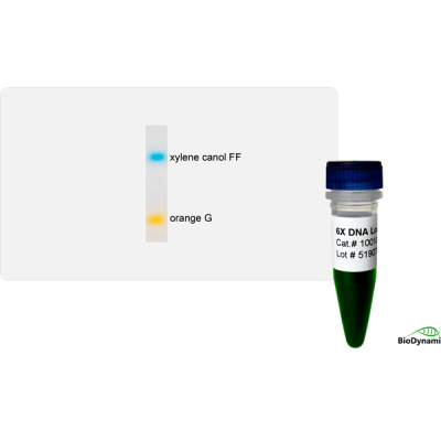 6X DNA Loading Buffer