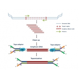 https://www.carolinabiosystems.cz/259-thickbox_default/topomize-amplicon-library-prep-kit.jpg