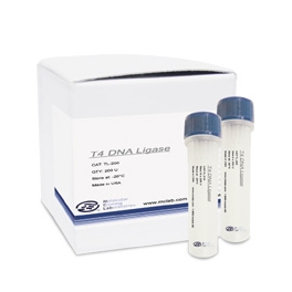 https://www.carolinabiosystems.cz/271-thickbox_default/t4-dna-ligase.jpg