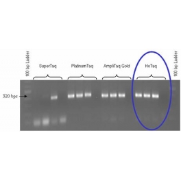 https://www.carolinabiosystems.cz/283-thickbox_default/2x-hotstart-pcr-master-mix-100-reactions-50-l-vol.jpg