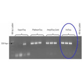 2X HotStart PCR Master Mix