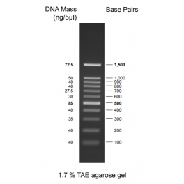 https://www.carolinabiosystems.cz/995-thickbox_default/discover-dna-ladder-100-1500-bp.jpg
