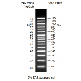 https://www.carolinabiosystems.cz/997-thickbox_default/discover-dna-ladder-50-1500-bp.jpg