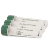 Termofilne polimerazy DNA