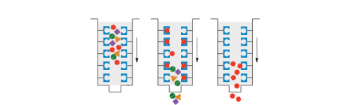 Affinity Chromatography