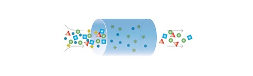 Protein Purification