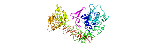 EGF (Epidermal growth factor)