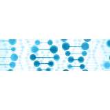 Nucleic Acid Analysis