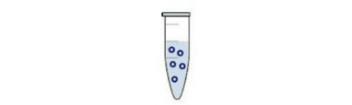 Kity pro izolaci plasmidové DNA